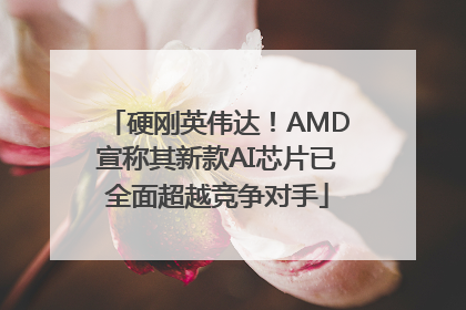 硬刚英伟达！AMD宣称其新款AI芯片已全面超越竞争对手