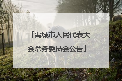 禹城市人民代表大会常务委员会公告