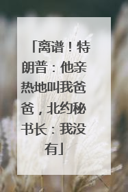 离谱！特朗普：他亲热地叫我爸爸，北约秘书长：我没有