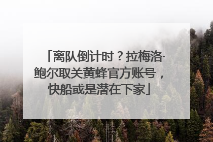 离队倒计时？拉梅洛·鲍尔取关黄蜂官方账号，快船或是潜在下家