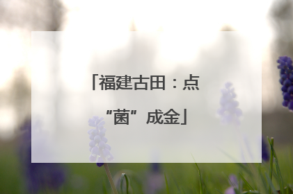 福建古田：点“菌”成金