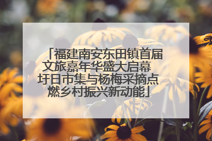 福建南安东田镇首届文旅嘉年华盛大启幕 圩日市集与杨梅采摘点燃乡村振兴新动能