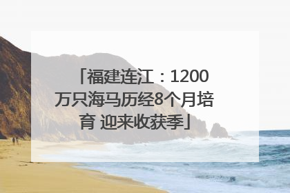 福建连江：1200万只海马历经8个月培育 迎来收获季