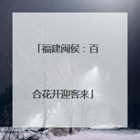 福建闽侯：百合花开迎客来