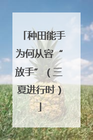 种田能手为何从容“放手”（三夏进行时）