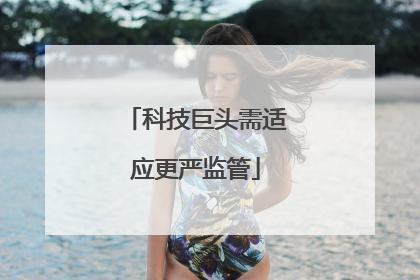 科技巨头需适应更严监管