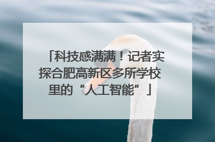 科技感满满！记者实探合肥高新区多所学校里的“人工智能”