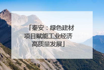 秦安：绿色建材项目赋能工业经济高质量发展