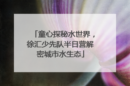 童心探秘水世界，徐汇少先队半日营解密城市水生态