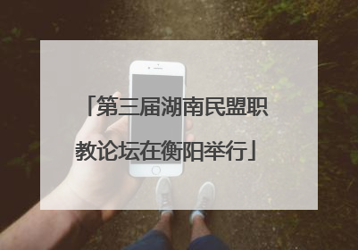 第三届湖南民盟职教论坛在衡阳举行