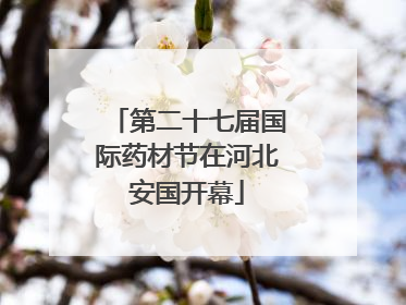 第二十七届国际药材节在河北安国开幕