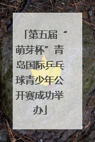 第五届“萌芽杯”青岛国际乒乓球青少年公开赛成功举办
