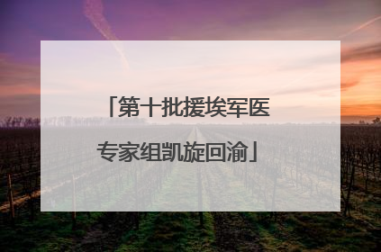 第十批援埃军医专家组凯旋回渝