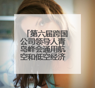 第六届跨国公司领导人青岛峰会通用航空和低空经济发展论坛举行 滨州市全方位推介低空经济发展优势