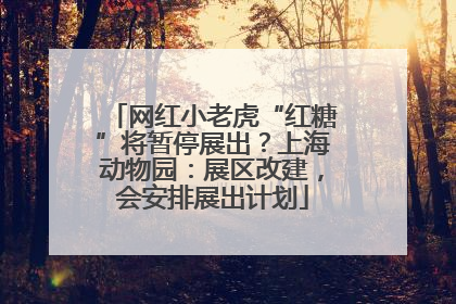 网红小老虎“红糖”将暂停展出？上海动物园：展区改建，会安排展出计划