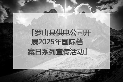 罗山县供电公司开展2025年国际档案日系列宣传活动