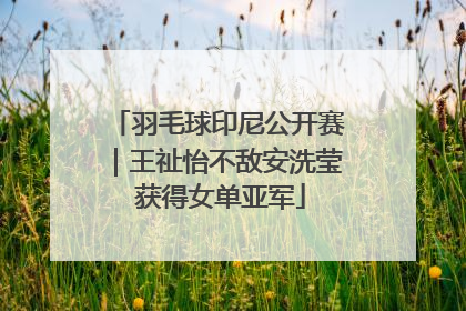 羽毛球印尼公开赛｜王祉怡不敌安洗莹 获得女单亚军