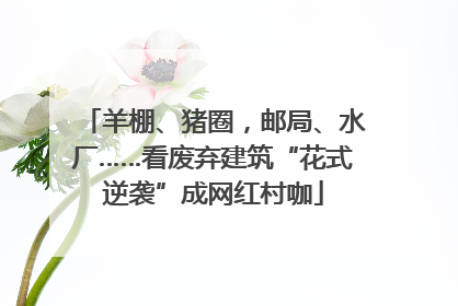 羊棚、猪圈，邮局、水厂……看废弃建筑“花式逆袭”成网红村咖