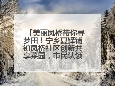 美丽凤桥带你寻梦田！宁乡夏铎铺镇凤桥社区创新共享菜园，市民认领菜土，体验耕种收获乐趣