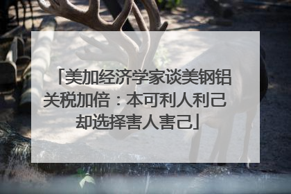 美加经济学家谈美钢铝关税加倍：本可利人利己 却选择害人害己