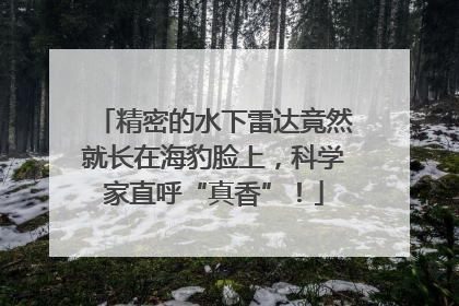 精密的水下雷达竟然就长在海豹脸上，科学家直呼“真香”！