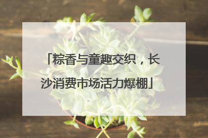粽香与童趣交织，长沙消费市场活力爆棚
