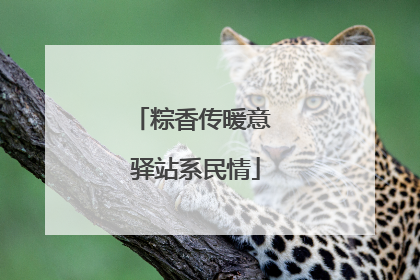 粽香传暖意 驿站系民情