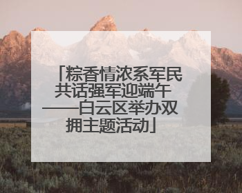 粽香情浓系军民 共话强军迎端午——白云区举办双拥主题活动