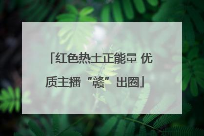 红色热土正能量 优质主播“赣”出圈