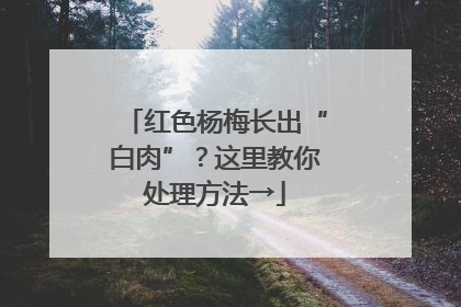 红色杨梅长出“白肉”？这里教你处理方法→