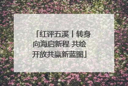 红评五溪丨转身向海启新程 共绘开放共赢新蓝图