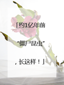 约1亿年前“僵尸昆虫”，长这样！