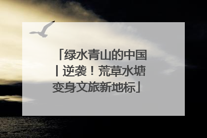 绿水青山的中国丨逆袭！荒草水塘变身文旅新地标
