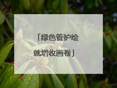 绿色管护绘就增收画卷