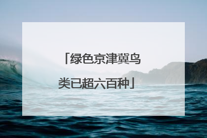 绿色京津冀鸟类已超六百种