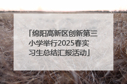 绵阳高新区创新第三小学举行2025春实习生总结汇报活动