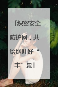 织密安全防护网，共绘烟叶好“丰”景