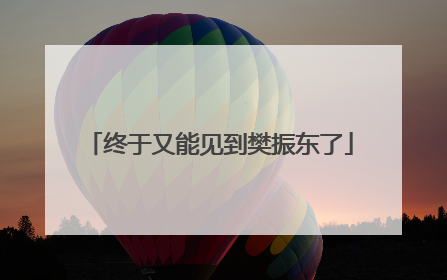 终于又能见到樊振东了