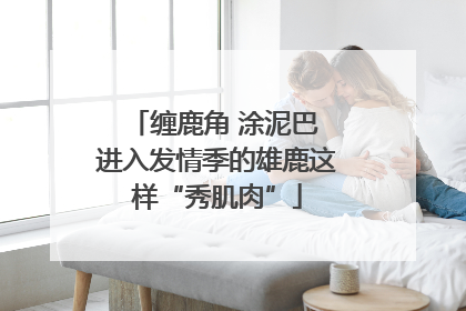 缠鹿角 涂泥巴 进入发情季的雄鹿这样“秀肌肉”