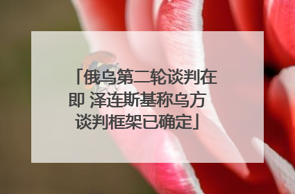 俄乌第二轮谈判在即 泽连斯基称乌方谈判框架已确定