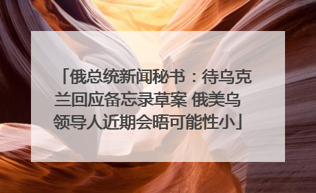 俄总统新闻秘书：待乌克兰回应备忘录草案 俄美乌领导人近期会晤可能性小