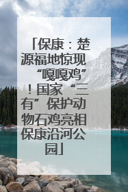 保康：楚源福地惊现“嘎嘎鸡”！国家“三有”保护动物石鸡亮相保康沿河公园