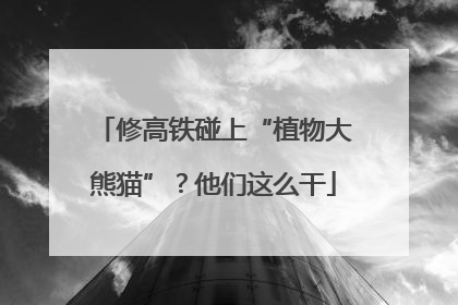 修高铁碰上“植物大熊猫”？他们这么干