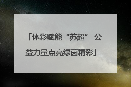 体彩赋能“苏超” 公益力量点亮绿茵精彩