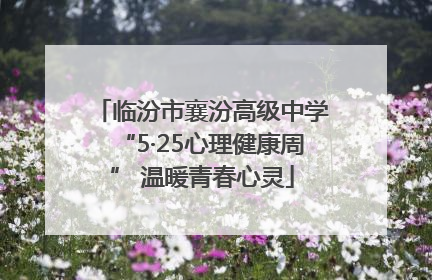 临汾市襄汾高级中学“5·25心理健康周” 温暖青春心灵