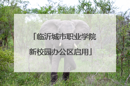 临沂城市职业学院新校园办公区启用