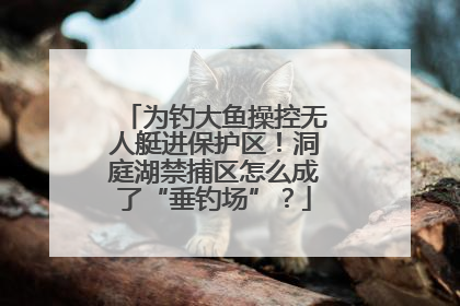 为钓大鱼操控无人艇进保护区！洞庭湖禁捕区怎么成了“垂钓场”？