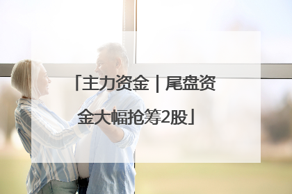 主力资金｜尾盘资金大幅抢筹2股
