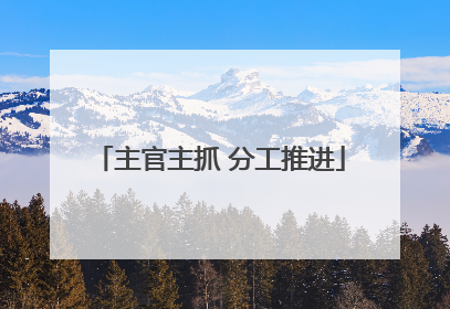 主官主抓 分工推进