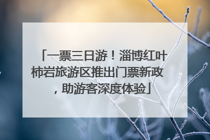 一票三日游！淄博红叶柿岩旅游区推出门票新政，助游客深度体验